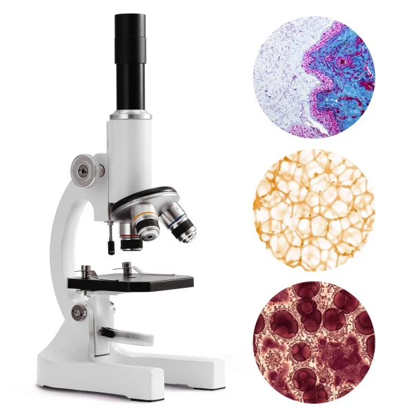 64X-2400X Monocular Digital Microscope Elementary School Children Science Experimental Biology Teaching Microscope Children | Professional Grade | Bulk Available
