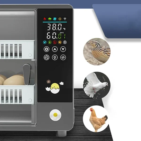 24 eggs incubator with drawer type egg incubator turner with automatic waterbed replenishment temperature control touch screen | Professional Grade | Bulk Available - Image 3
