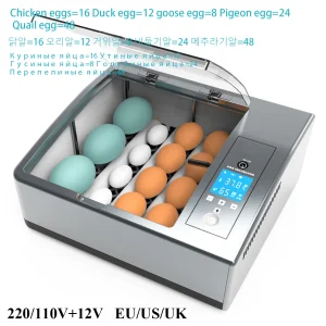 Full automatic egg incubator temperature and humidity display dual power control system automatic eggs hatchery eggs | Professional Grade | Bulk Available