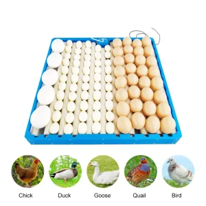 Automatic 360 degree rotary egg turner roller tray 70 eggs hatching incubator farm incubation tool duck quail bird accessory | Professional Grade | Bulk Available