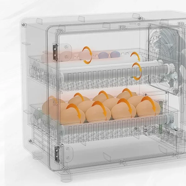 24 eggs incubator with drawer type egg incubator turner with automatic waterbed replenishment temperature control touch screen | Professional Grade | Bulk Available - Image 6
