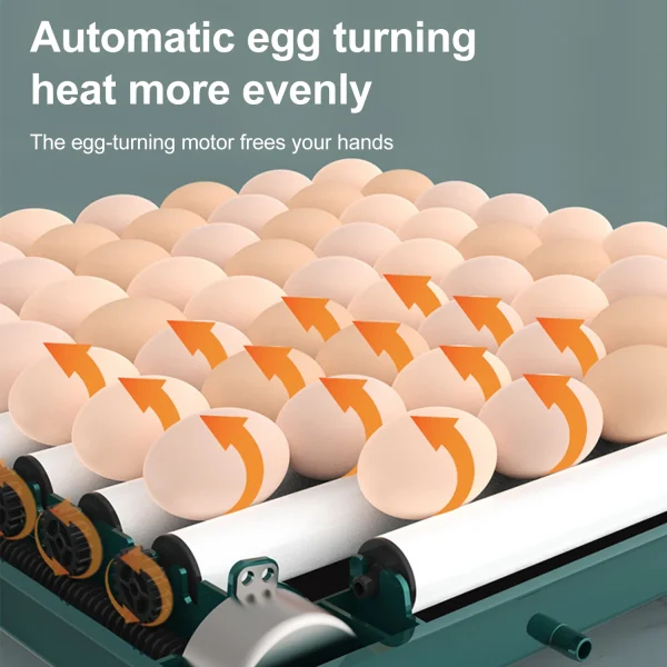 9/15 eggs incubator with drawer automatic waterbed replenishment temperature control full automatic turning hatchery incubator | Professional Grade | Bulk Available - Image 5